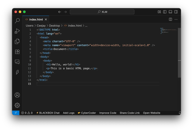 html for beginners, write your html code